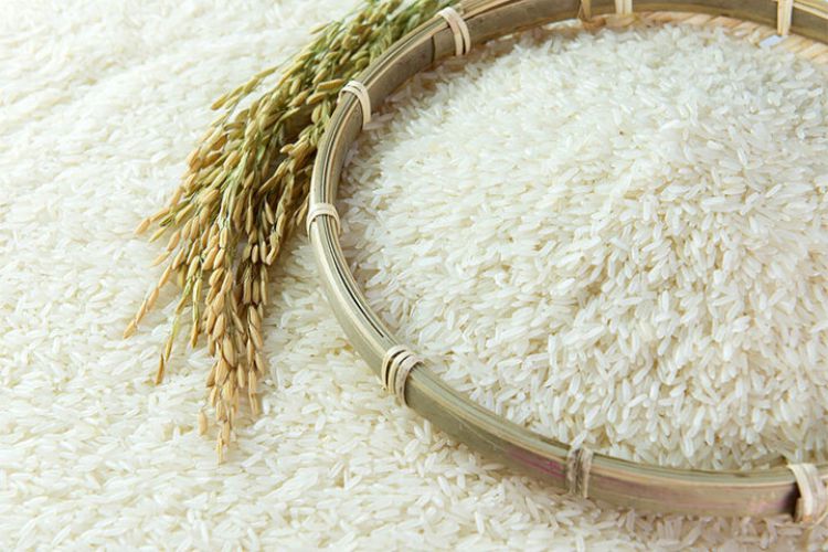 رئیس اتحادیه بنکداران مواد غذایی: قیمت برنج ایرانی نصف شد