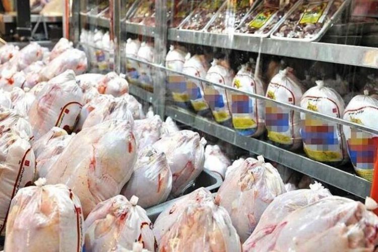 قیمت جدید مرغ را ببینید/ به این شرط قیمت مرغ می‌ریزد