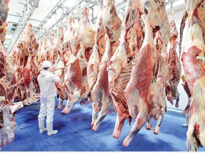 گوشت گوسفندی کیلویی 282 هزار تومان شد/ جزییات تغییر قیمت
