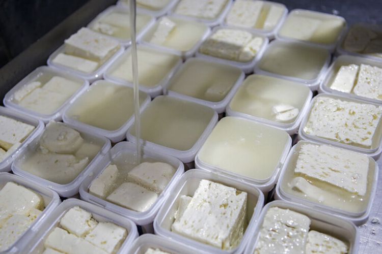 پنیر در میادین 8 درصد گران شد/ پنیر تبریز و لیقوان کیلویی چند؟