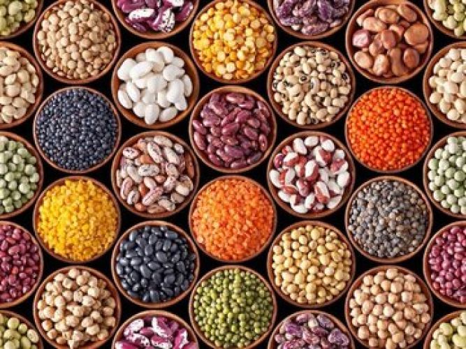 دلیل گرانی حبوبات ؛ حذف ارز ترجیحی یا ممنوعیت واردات؟ / چرا قیمت‌ها تا این حد نجومی شده است؟