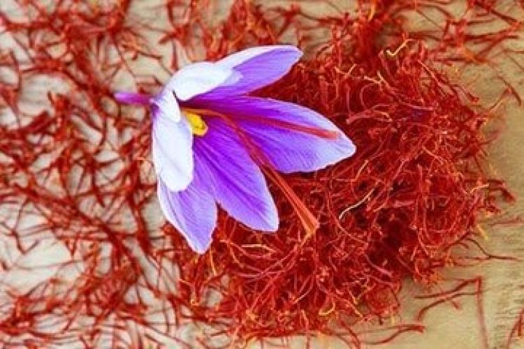 طلای سرخ ایران قربانی قاچاق؛ زعفران به نام کشور همسایه فروخته می‌شود