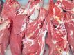 پیش‌بینی تولید بیش از 12 هزار تن گوشت قرمز توسط عشایر کرمانشاه