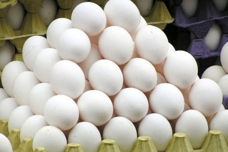 انتهای پیام فروشندگان باید تخم‌مرغ را بر اساس وزن عرضه کنند