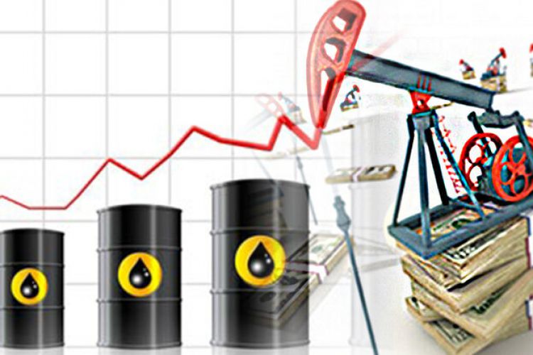 قیمت نفت نزولی ماند