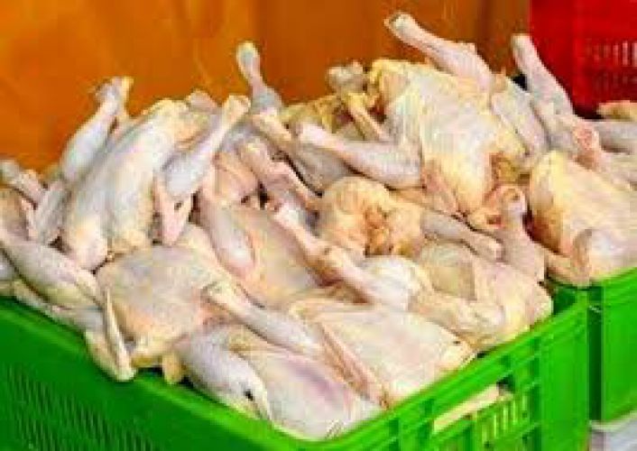  در بازار مرغ چه خبر است؟