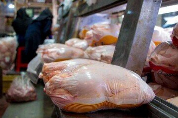 انحراف شدید در توزیع مرغ/ صدور حواله‌های سنگین بدون نظارت