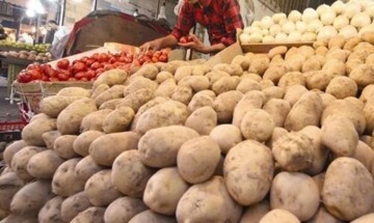 صادرات سیب زمینی و پیاز متوقف شد/ برنج نباید گران شود