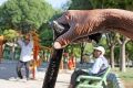 سالمندی جمعیت در ایران با سرعتی 3 برابر ژاپن