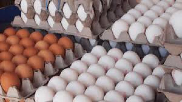 توزیع 1000 تن تخم‌مرغ وارداتی/نرخ مصوب هرشانه تخم مرغ 43 هزار تومان