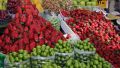 میوه‌های نوبرانه‌ بهار به بازار آمدند / کاهش 10 درصدی قیمت گوجه