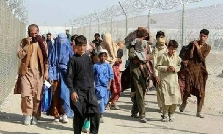 این شهز میزبان 50 درصد اتباع غیرمجاز است؛ باید با احترام به کشورشان برگردند
