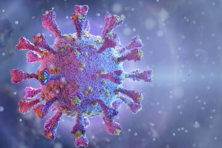  اخبار «کرونای تیغی» و توضیحات معاون وزیر بهداشت