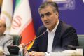 فرزین: موضع رئیس جمهوری درباره منابع بلوکه شده ایران کاملا صحیح است