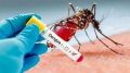  هشدار درباره خطر گسترش تب دنگی؛ استقرار پشه آئدس در چند منطقه
