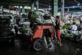 کاهش قیمت برنج در فیلیپین به چراغ قرمز رسید