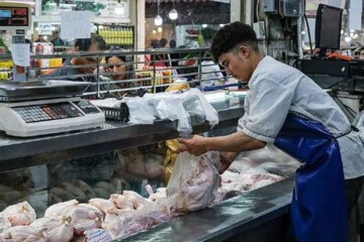  بحران در بازار مرغ؛ قیمت‌ها به مرز 250 هزار تومان نزدیک می‌شود!