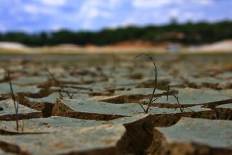 بارورسازی ابرها؛ راهکار مقابله با خشکسالی یا فقط امیدواری؟ بارورسازی ابرها؛ راهکار مقابله با خشکسالی یا فقط امیدواری؟