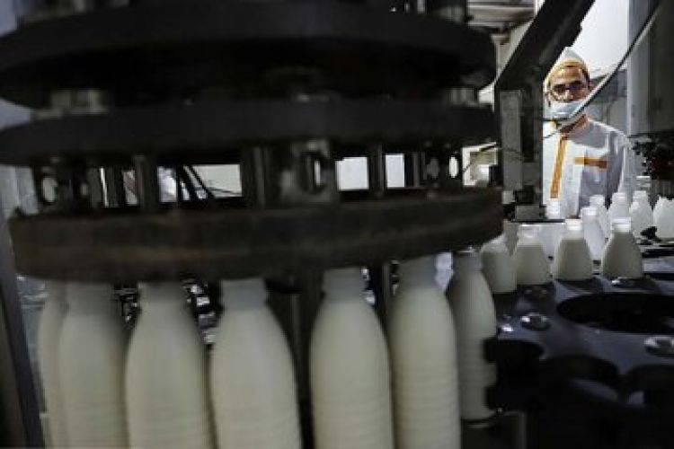 وعده وزیر کشاورزی به کالابرگبگیران؛ اصلاح افزایش قیمت لبنیات آغاز میشود؟ وعده وزیر کشاورزی به کالابرگبگیران؛ اصلاح افزایش قیمت لبنیات آغاز میشود؟