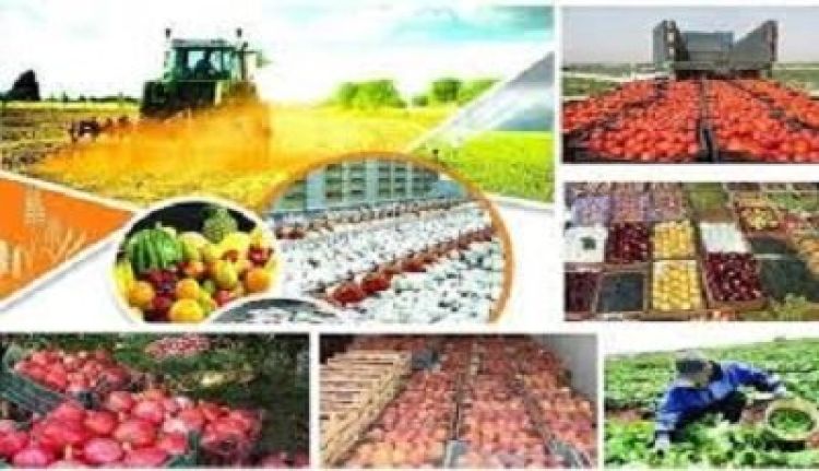 کدام گروه‌های غذایی بیشترین تغییر قیمت را داشتند؟