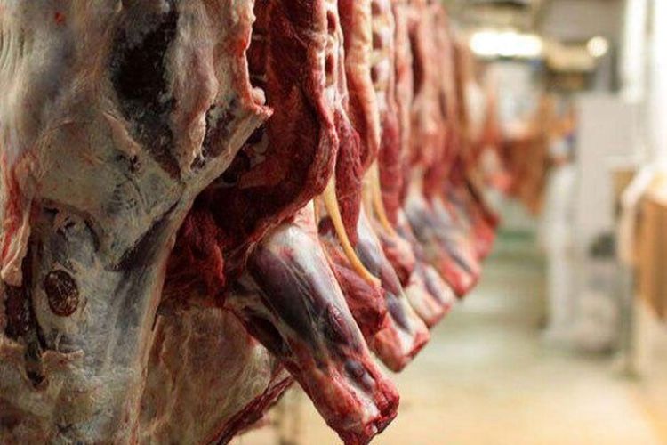 یش‌بینی قیمت بازار گوشت تا پایان سال؛ قیمت گوشت وارداتی در آستانه عید 700 تا 800 هزار تومان است