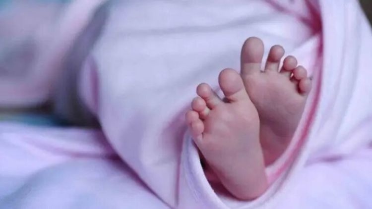 استارت اجرای طرح کارت امید مادر از اردیبهشتماه استارت اجرای طرح کارت امید مادر از اردیبهشتماه