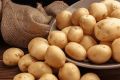 قیمت سیب‌زمینی به یک‌سال قبل برنمی‌گردد/ دولت در کار تولید و بازار سیب‌زمینی دخالت نکند