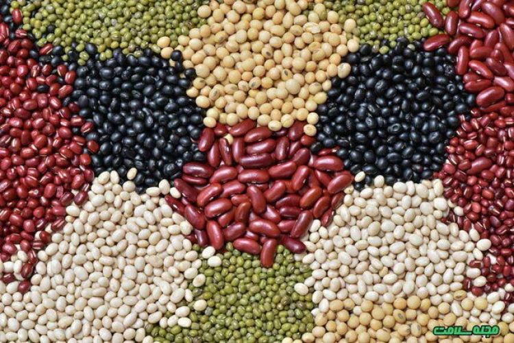 پیشنهاد نایب‌رئیس کمیسیون کشاورزی برای کاهش قیمت حبوبات