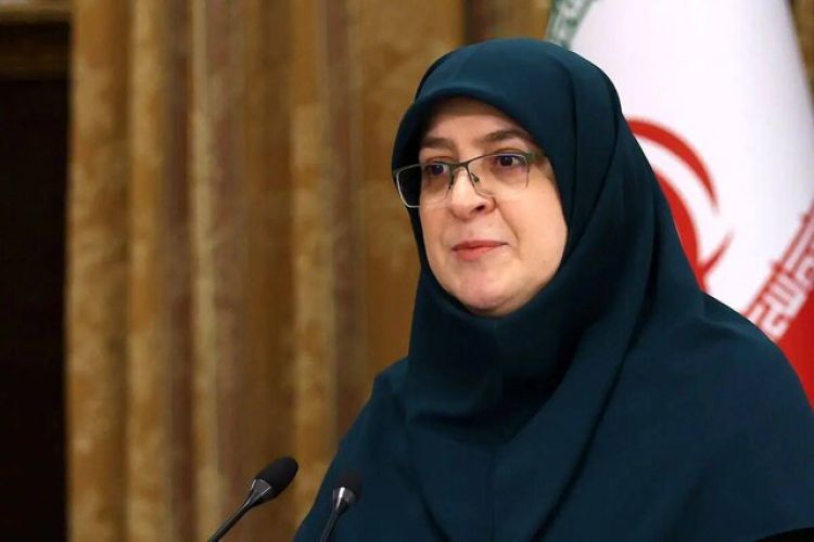 تاکید مهاجرانی بر پاسخگویی دولتی‌ها و حمایت از بخش خصوصی