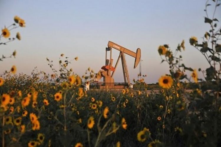 صعود نفت در بازار جهانی استمرار یافت