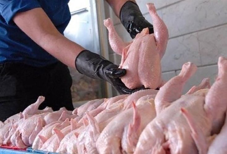 حذف ارز ترجیحی و شوک جدید به بازار مرغ؛ فروغی از احتمال نرخ 400 هزار تومانی می‌گوید