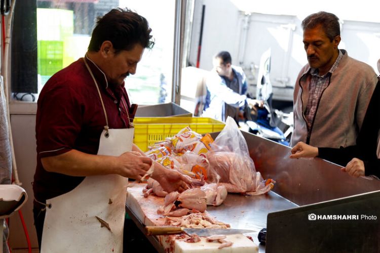 مرغ در مسیر ارزانی؟؛ بررسی اثر ارز ترجیحی بر بازار مرغ و گوشت مرغ در مسیر ارزانی؟؛ بررسی اثر ارز ترجیحی بر بازار مرغ و گوشت