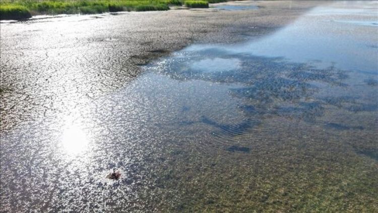 بحران آب نیاز به تصمیمات شجاعانه دارد نه نقرهداغ کردن کشاورزان بحران آب نیاز به تصمیمات شجاعانه دارد نه نقرهداغ کردن کشاورزان