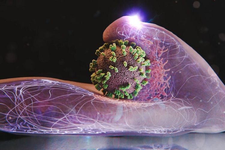 آنفلوآنزا در 2 شهر به مرحله هشدار رسید آنفلوآنزا در 2 شهر به مرحله هشدار رسید