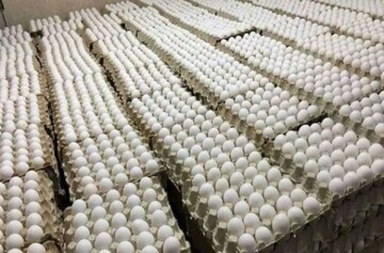 یک پیش‌بینی از قیمت تخم مرغ در ماه رمضان؛ قیمت جدید تخم‌ مرغ اعلام شد