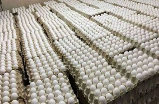 یک پیش‌بینی از قیمت تخم مرغ در ماه رمضان؛ قیمت جدید تخم‌ مرغ اعلام شد