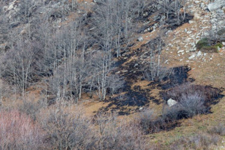 دود در آسمان؛ آتشسوزی در جنگلهای مازندران دود در آسمان؛ آتشسوزی در جنگلهای مازندران