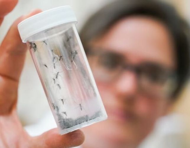 گرمایش جهانی و تهدید ویروس‌های نوظهور در اروپا