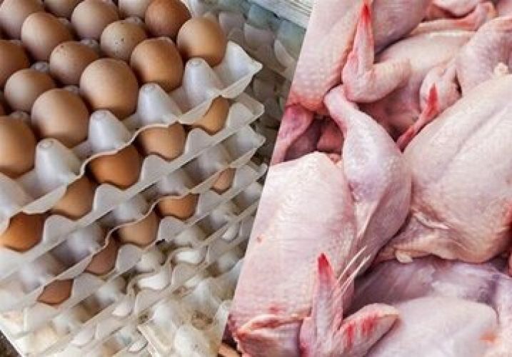 با آزادسازی دلار، سفره مردم از مرغ خالی شد با آزادسازی دلار، سفره مردم از مرغ خالی شد