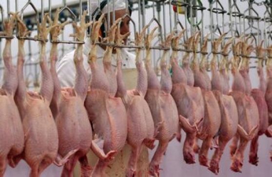 قیمت مصوب مرغ اسفند 1404 اعلام شد / بالاتر از این قیمت نخرید