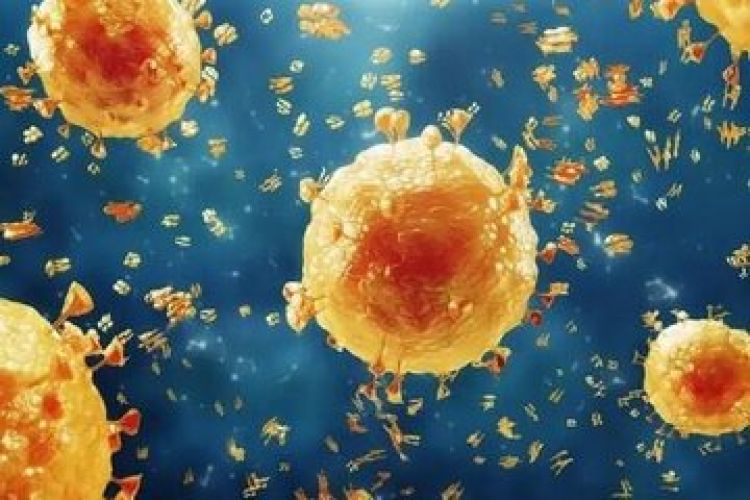 احتمال موجهای آنفلوانزا همزمان با آغاز سال تحصیلی احتمال موجهای آنفلوانزا همزمان با آغاز سال تحصیلی
