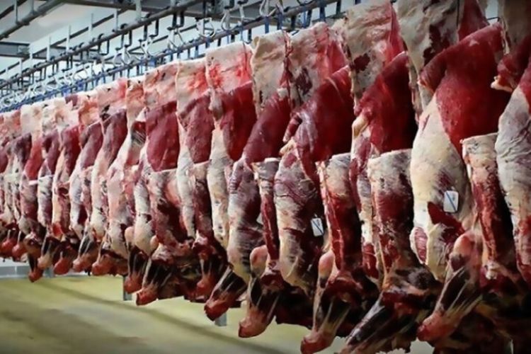 مقام مسئول: مجوزی برای عرضه گوشت اسب، قاطر و الاغ صادر نشده است
