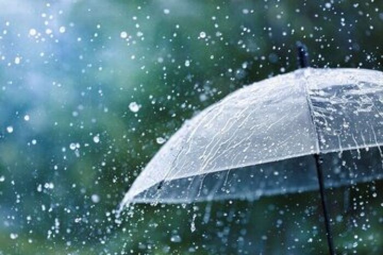 پاییز پربارش در انتظار کشور؟ پاییز پربارش در انتظار کشور؟