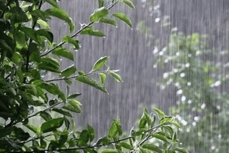 3 سناریوی مهم برای ایران در صورت وقوع النینو 3 سناریوی مهم برای ایران در صورت وقوع النینو
