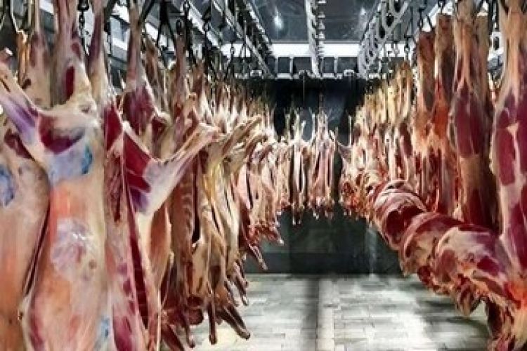 ریزش قیمت گوشت در راه است؟