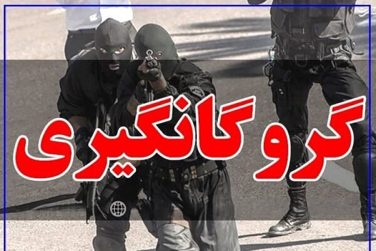 گروگانگیری در یکی از خیابانهای معروف تهران؛ ماجرا چه بود؟ گروگانگیری در یکی از خیابانهای معروف تهران؛ ماجرا چه بود؟