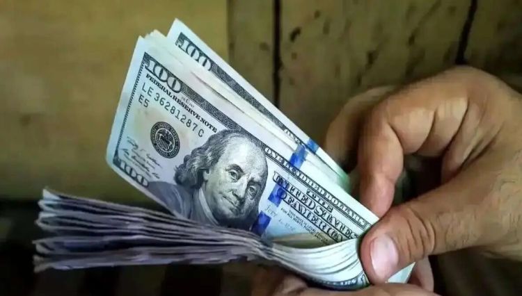 قیمت دلار با کارت ملی اعلام شد؛ جزئیات را بخوانید قیمت دلار با کارت ملی اعلام شد؛ جزئیات را بخوانید