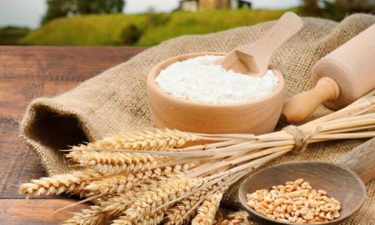 قطعی شدن قیمت گذاری گندم تا هفته آینده؟!