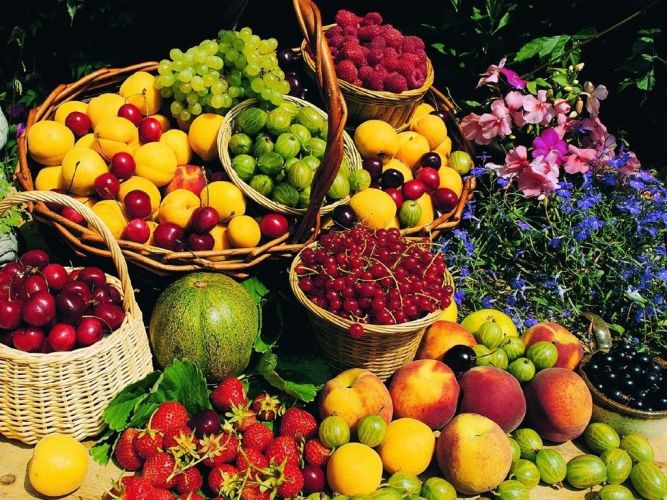قیمت عمده و نرخ روز میوه و صیفی‌جات تعیین شد+ جدول