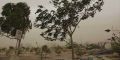 وزش باد شدید و گرد و خاک در تهران/ احتمال رخداد توفان لحظه‌ای
